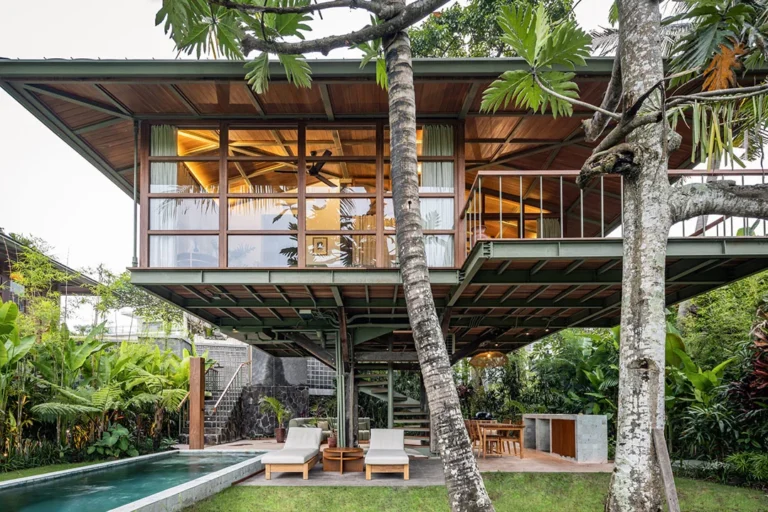 treehouse-batukaru-cover-1-scaled