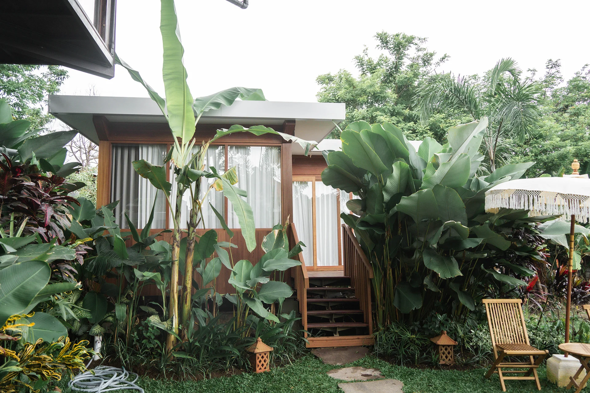 A timber studio with a glass front and a small deck, half hidden by banana plants, steps leading up from a stone path