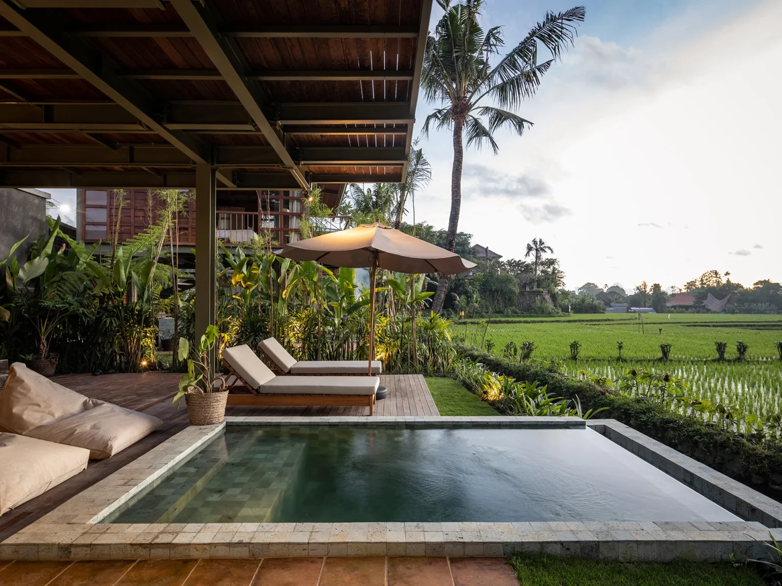 Copy of Copy of Copy of D4