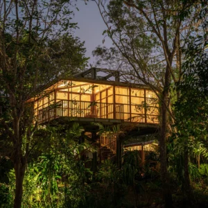 Copy of Copy of DSC01961