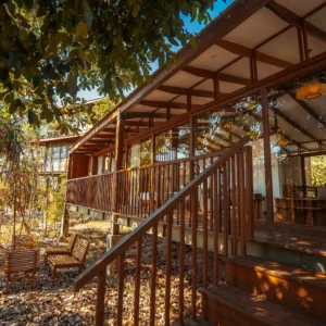 Copy of Copy of DSC02431