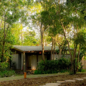 Copy of Copy of DSC04376