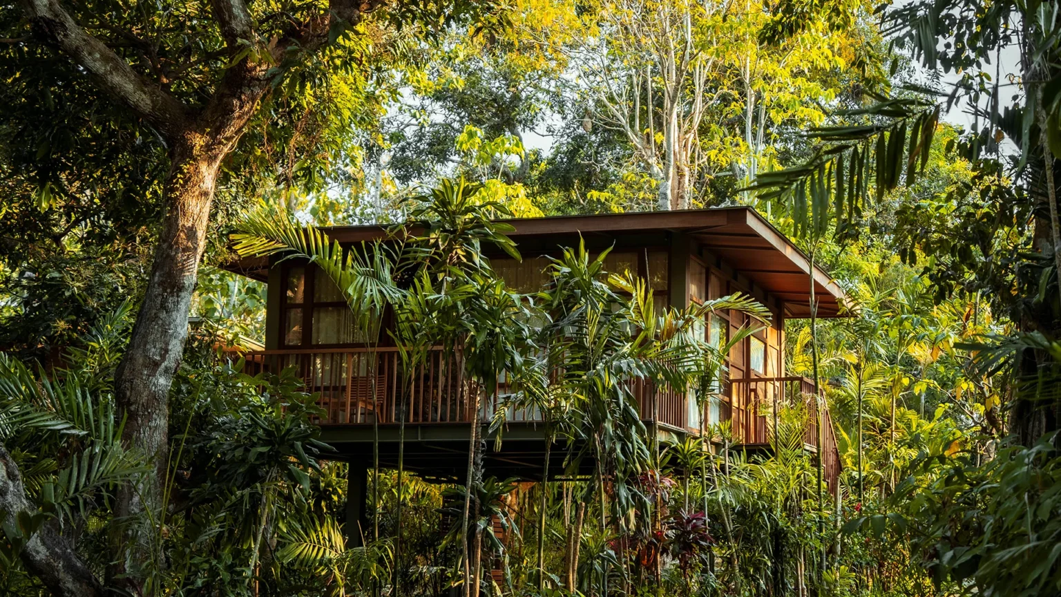 Treehouse Studio