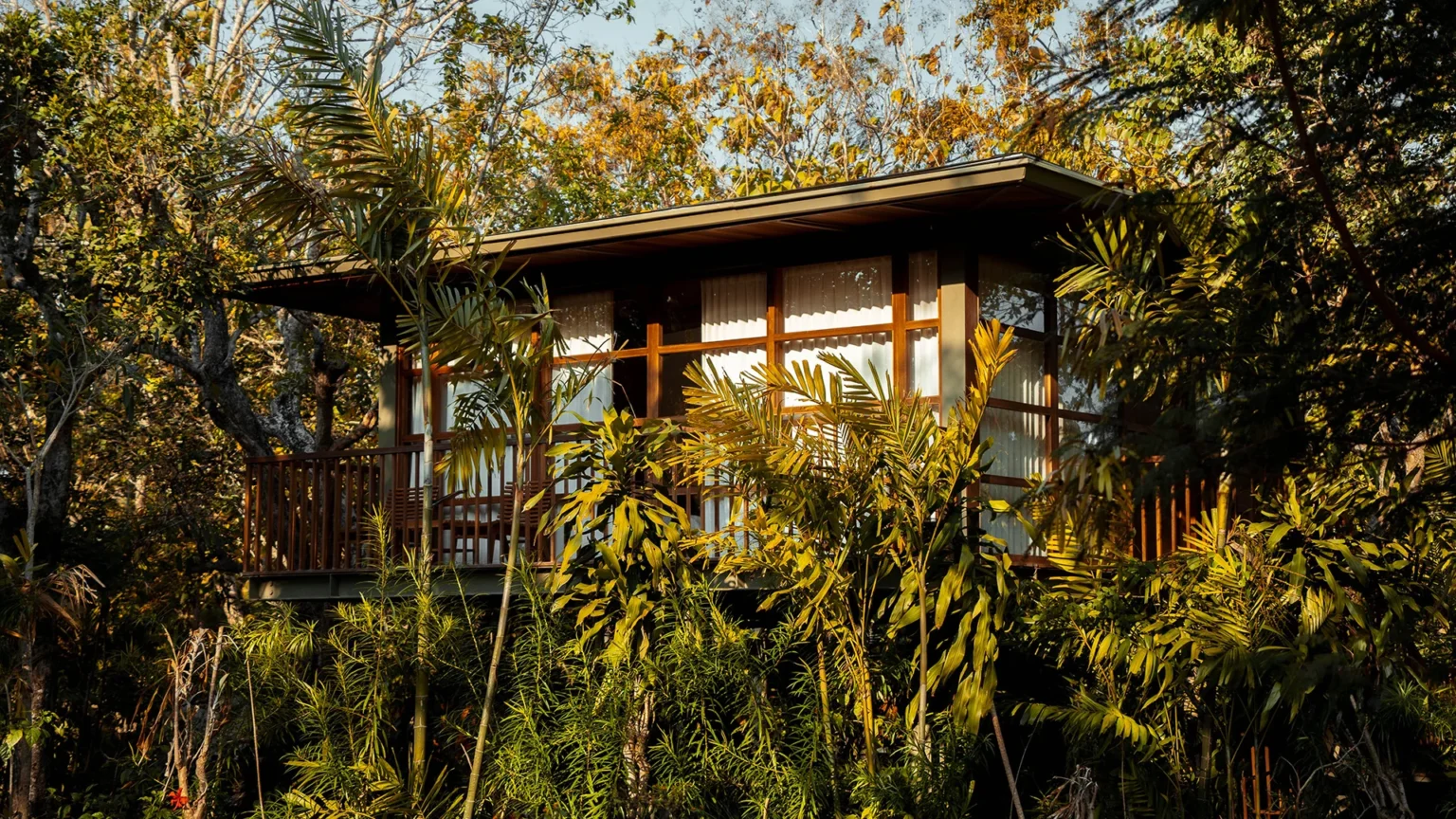 Treehouse Studio Front
