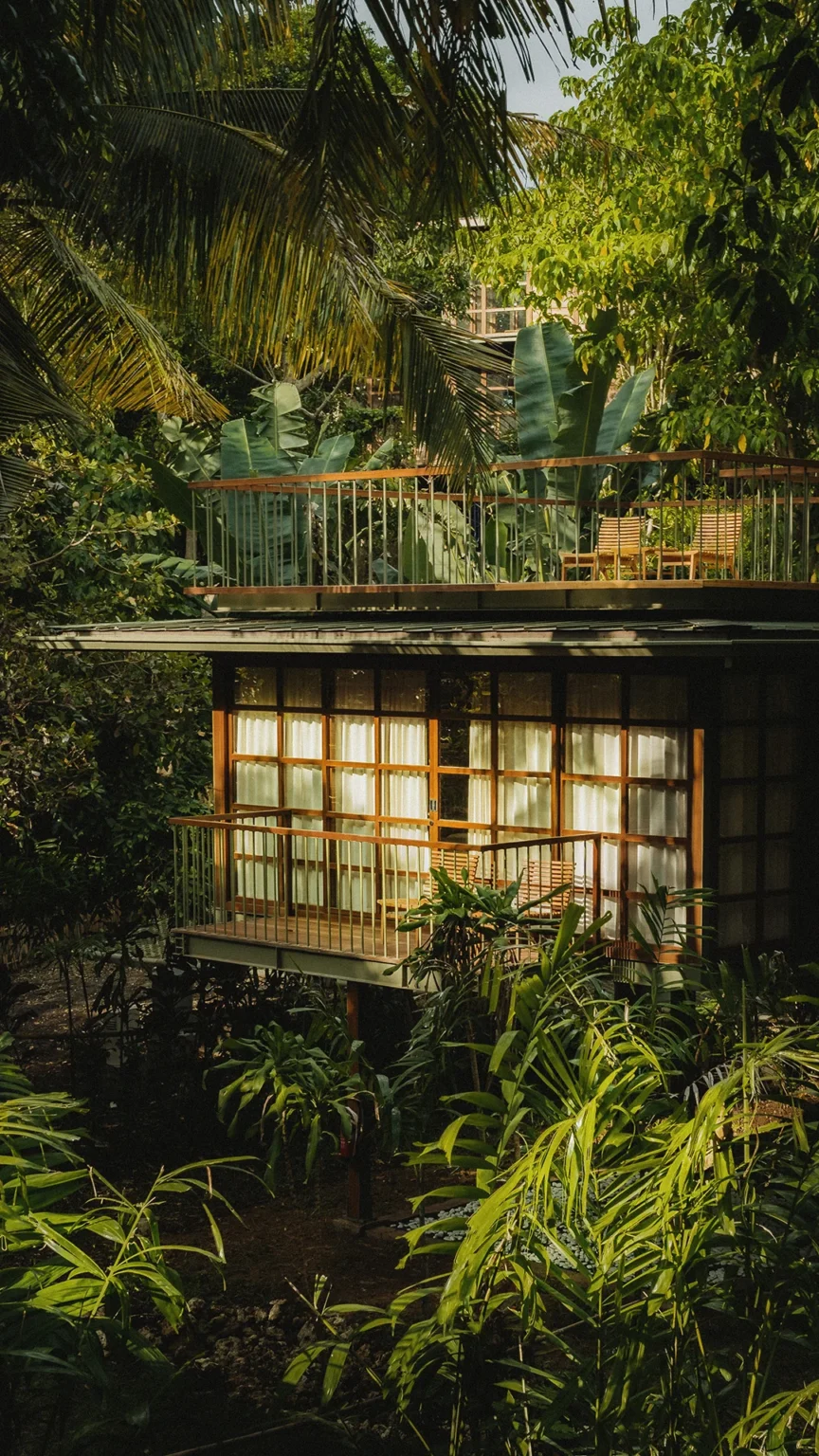 Treehouse Studio Rooftop Front