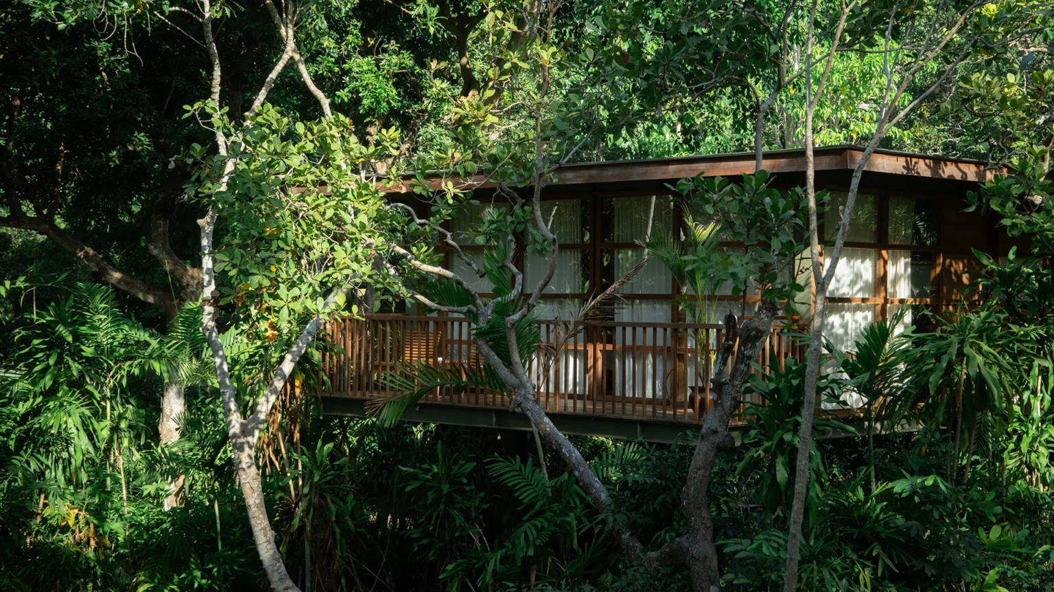 Treehouse Studio Tranquil