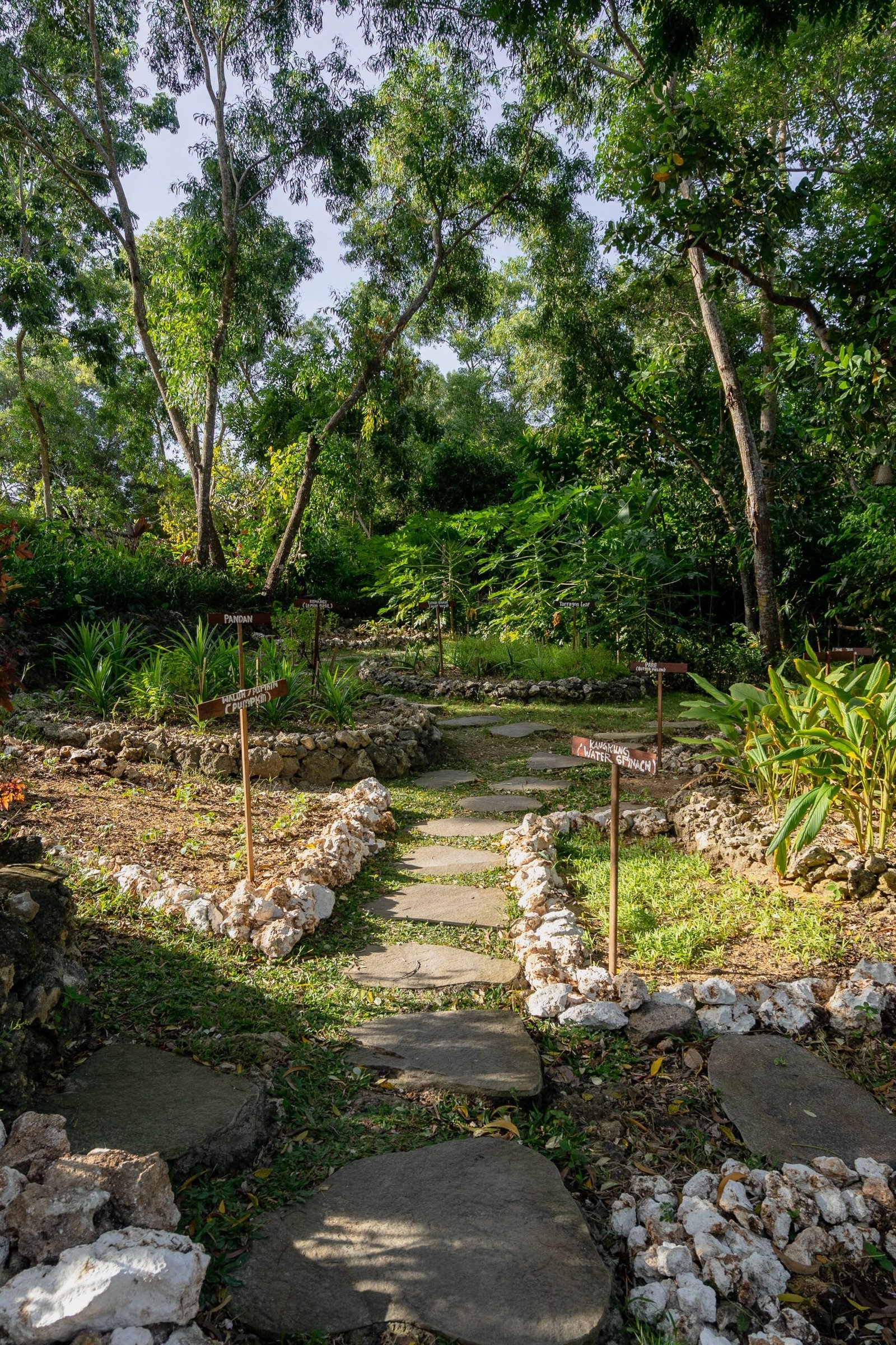 The Living Library herb garden at Bukit