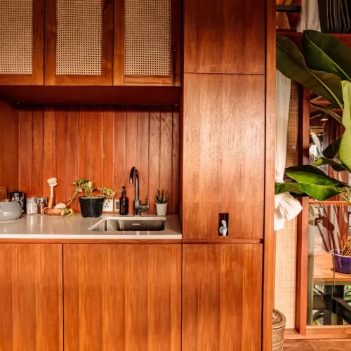 ficus-benghalensis (3)