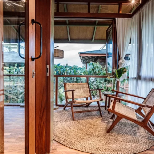 pinanga-coronata (2)