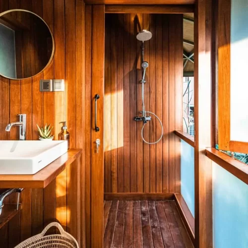 pinanga-coronata (3)