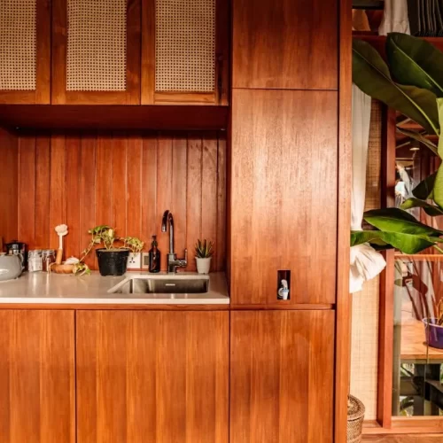 pinanga-coronata (4)