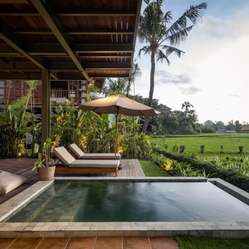 treehouse-lesung (3)